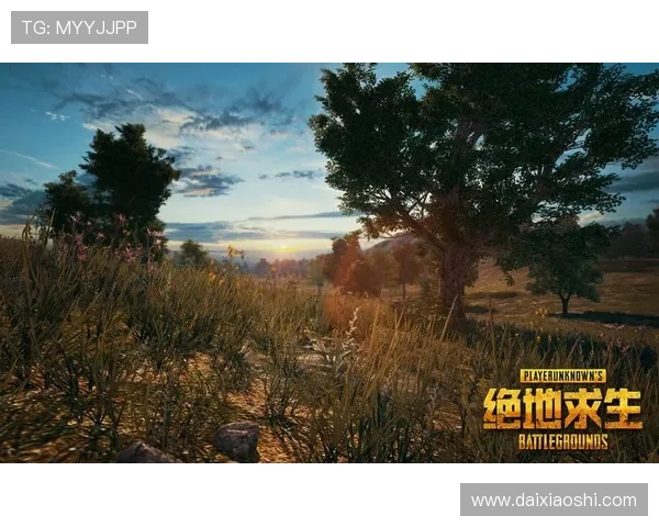 星空网址娱乐平台注重用户体验，界面简洁操作便捷，带来极致的娱乐享受